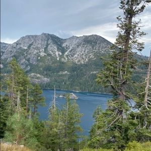 Meet your Posher, Shay